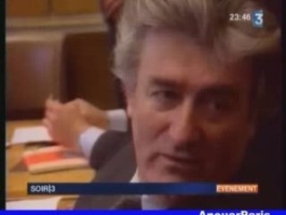 Radovan Karadzic en prison