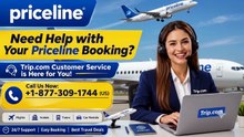 How to Reach Priceline® Support in 2026: Complete Customer Guide