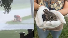 Man Rushes Out To Rescue Bunnies From Storm Drain During Downpour | Wild-ish TV