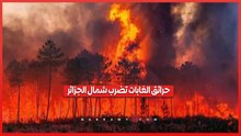 ذعر بين السكان وتوقيف مشتبه بهم.. مشاهد مرعبة لحرائق الجزائر