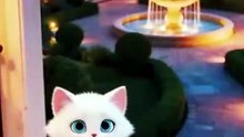 New Cat Video 🥺💔 | The Saddest Cat Story You’ll See Today 😿❤️‍ | Animal Vised