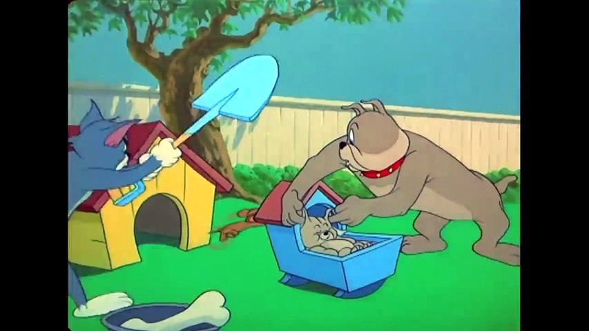 Tom & Jerry in italiano 🇮🇹 _ Il miglior papà cane di sempre 🐶 _ Festa del papà _