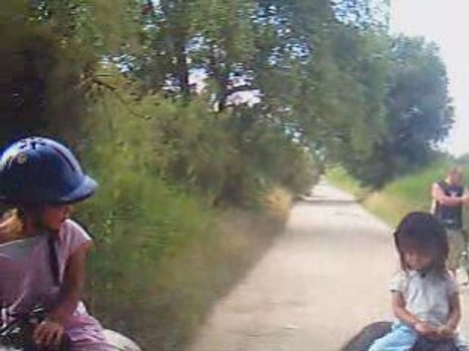 CHEVAUX