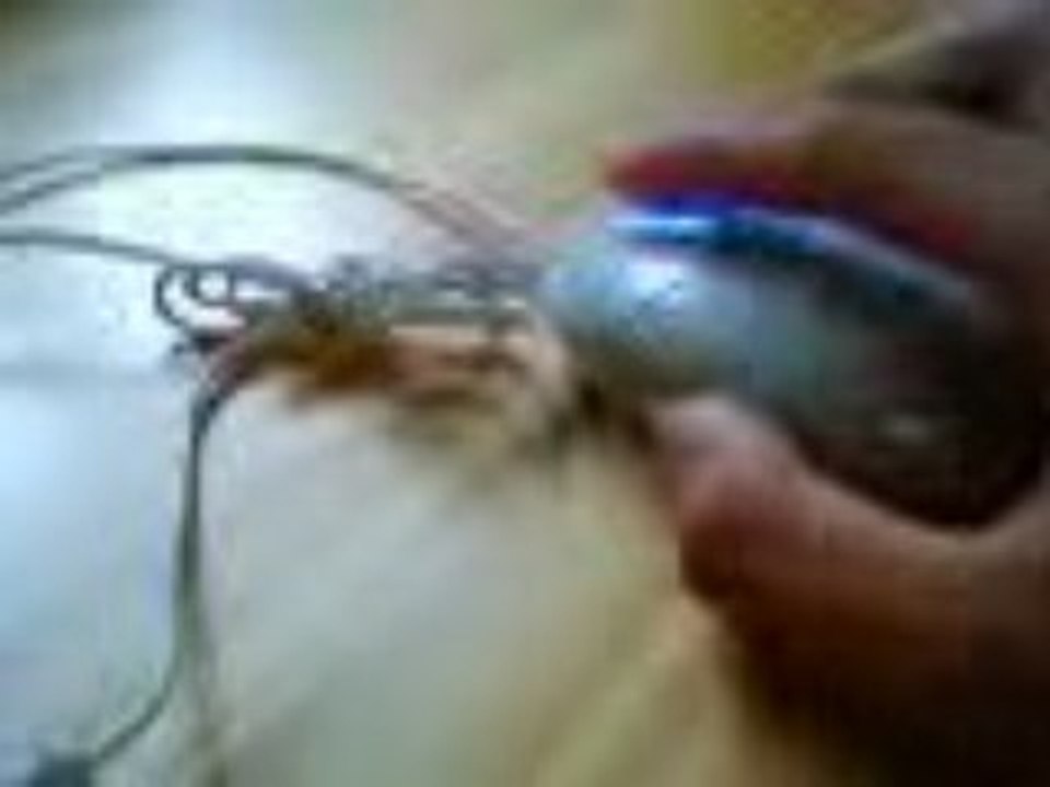 test
