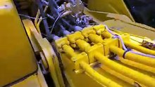 Equipa de construção civil resgata e adota gata bebé. Até tem equipamento