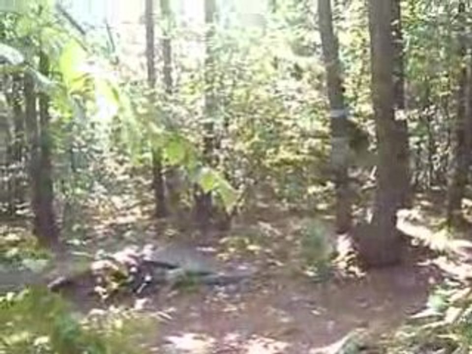 Stef big jump