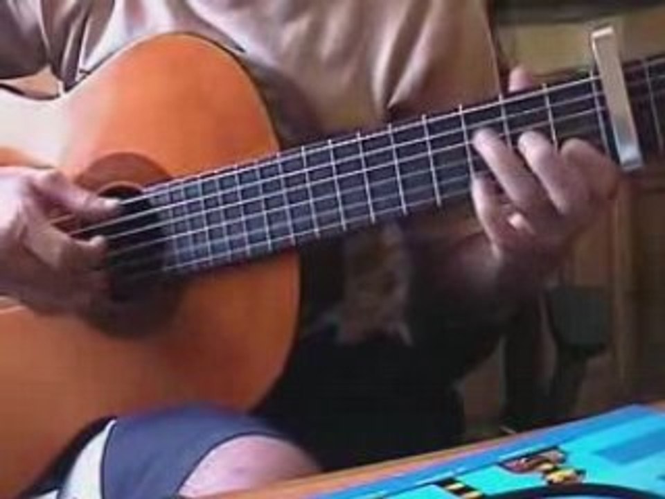Snow(hey ho) guitare seche
