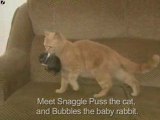 Gatto adotta coniglio