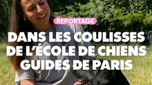 Reportage : Dans les coulisses de l'école de chiens guides de Paris