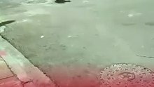 Captan a sujeto cargando un cocodrilo por calles de Guayaquil, Ecuador