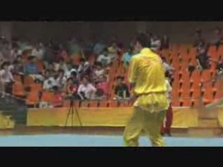 Nanning 2008 - Changquan