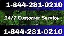 【Verified】≋[FULL GUIDE] Coinbase® CUSTOMER© SUPPoRT℗ Phone NuMber (OfficiAl