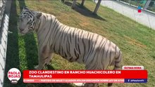 Descubren zoológico clandestino con más de 130 animales en Tamaulipas | De Pisa y Corre