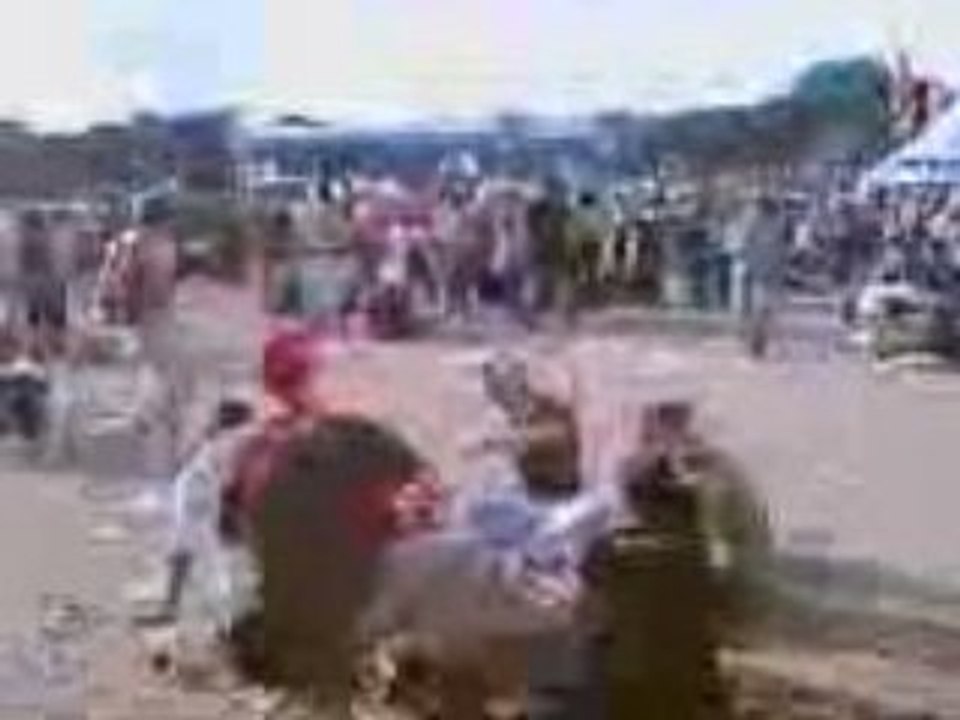 Vieilles Charrues 2008