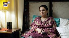 Mirza Ki Heer Ep 37_27_Aug_2026___Hina_Afridi___Ali_Raza___Zahid_Ahmed___ARY_Digital(360p)
