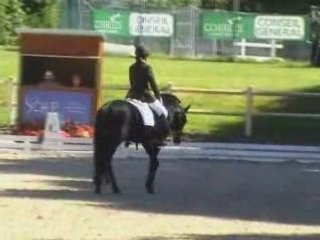 Poney rlm grand prix