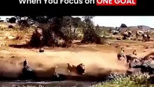When you choose everything