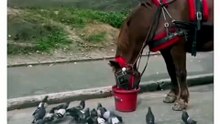 Life is not easy for everyone