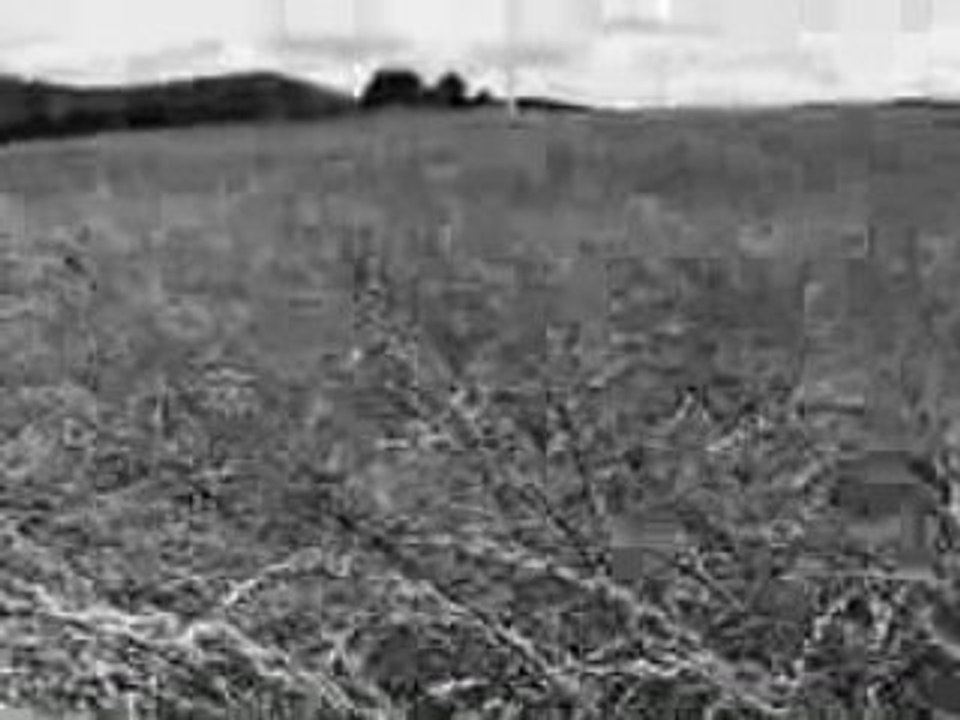 De là, viendra le vent, soit dit en vérité.