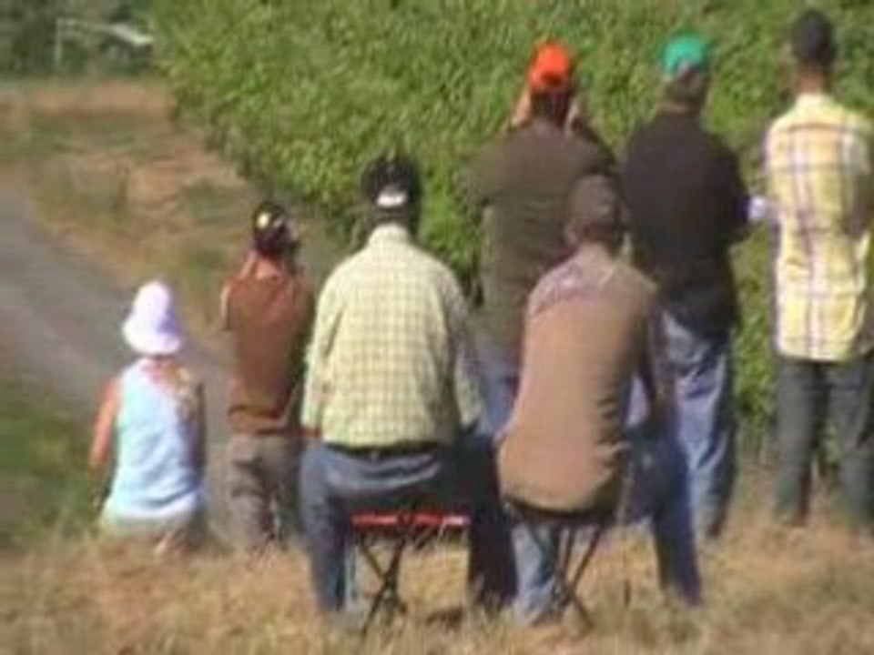 rallye de saintonges 2008 toutouyoute