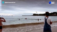 Le dauphin aperçu à Saint-Jean-de-Luz le jeudi 27 août