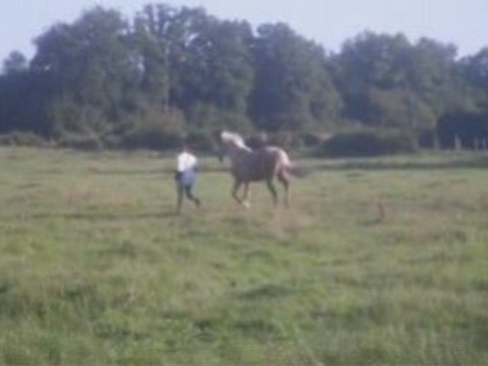 Looping et moi_0001