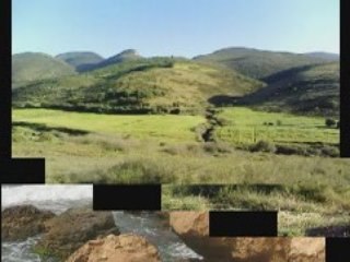 Albums photo du RIF.