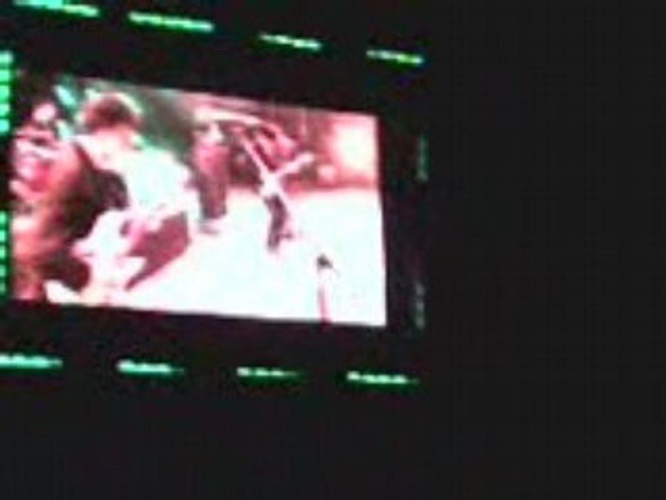 babyshambles au vieilles charrues 2008