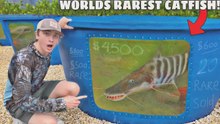¡Compré el pez de acuario más raro del mundo!