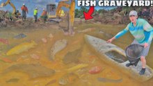 Sauvetage express : tous les poissons sauvés d’un étang abandonné en cours de destruction !