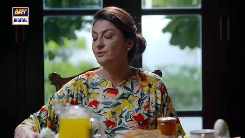 Noor Jahan Episode 28 -  30 August 2024   ARY Digital