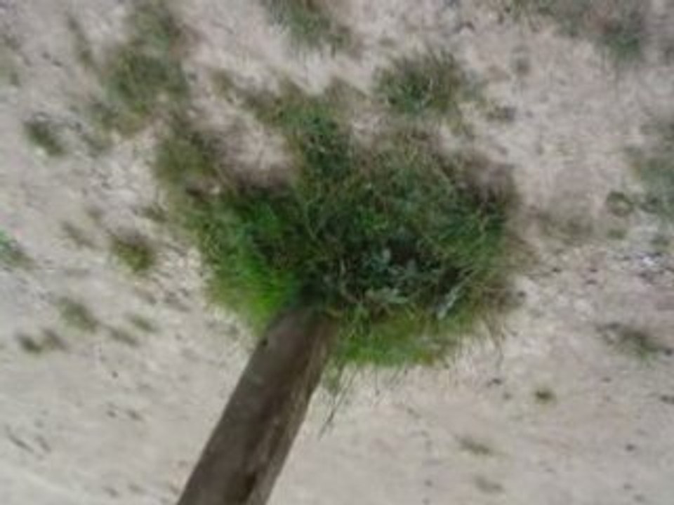 Bruit de la 250 cm3