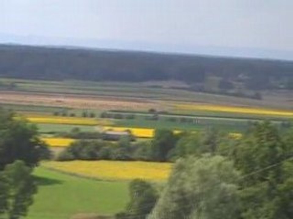arlay