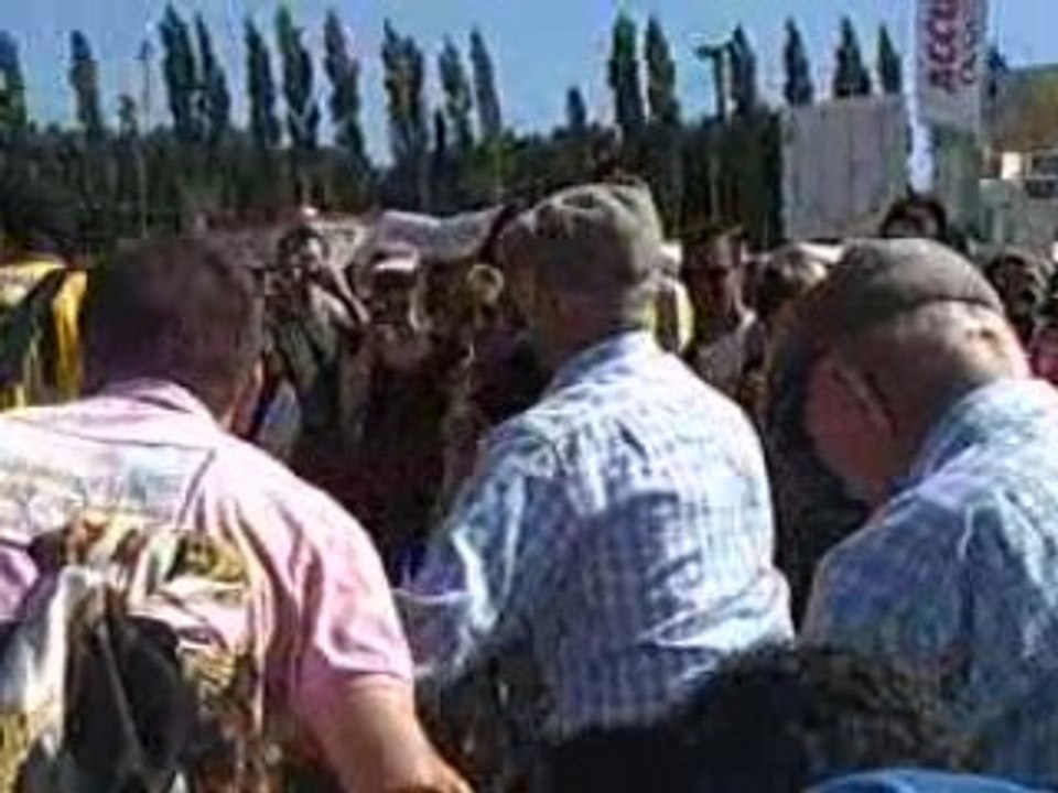 Tirage de charrues aux Vieilles Charrues de carhaix (2008)