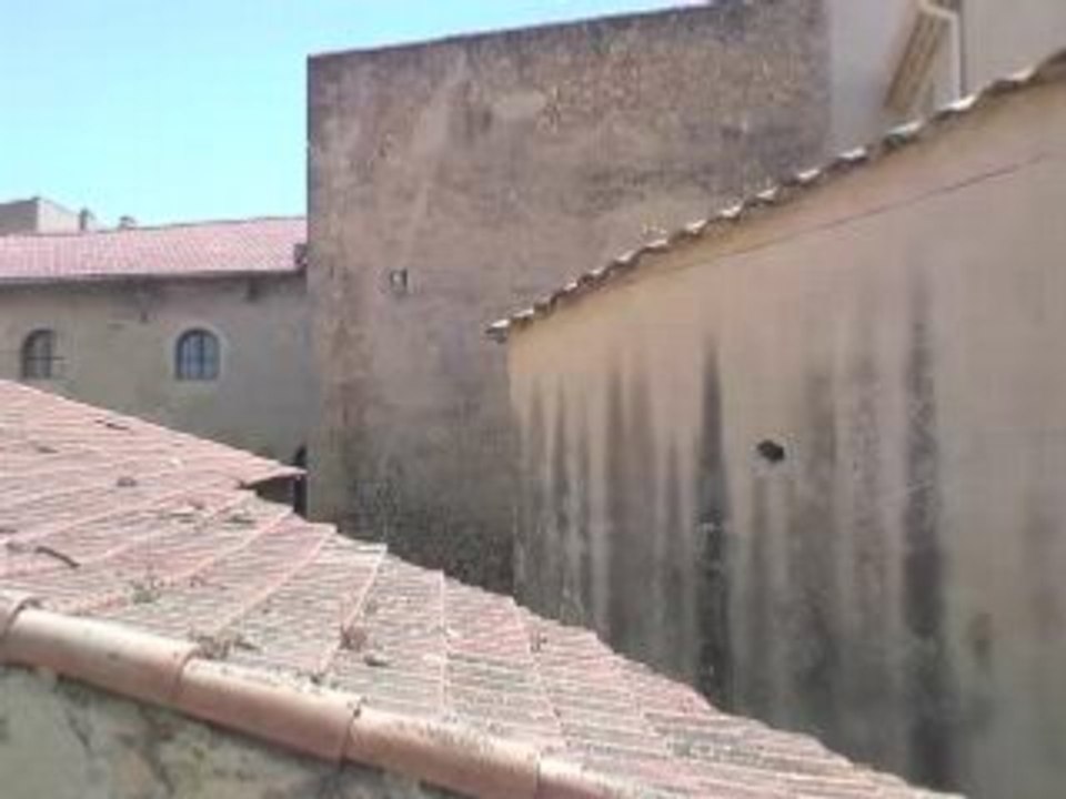 tir carabine a plomb