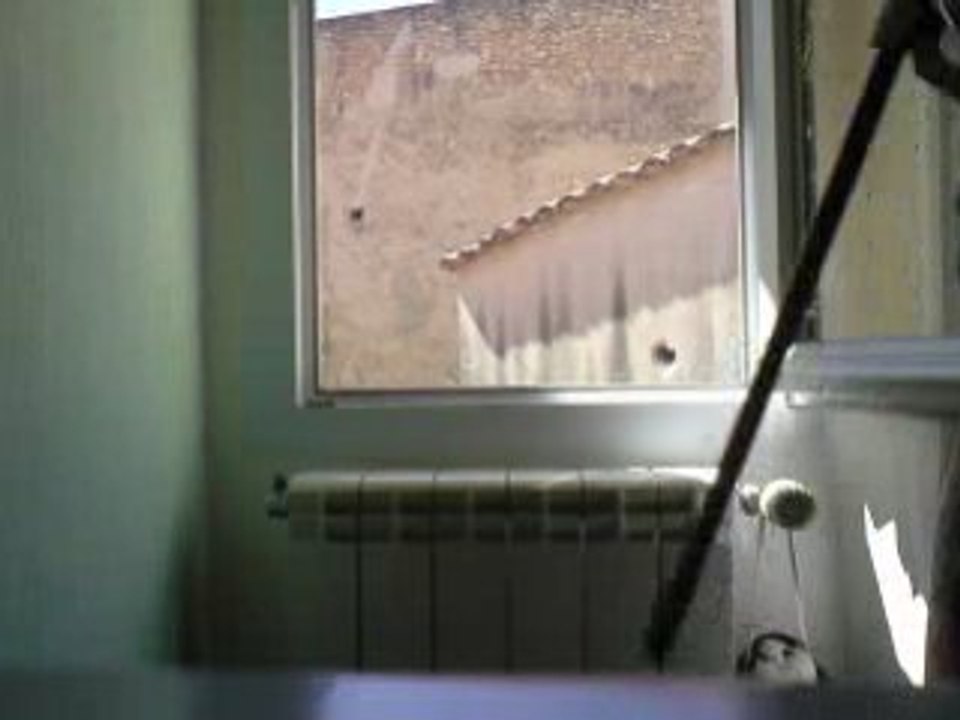 tir carabine a plomb