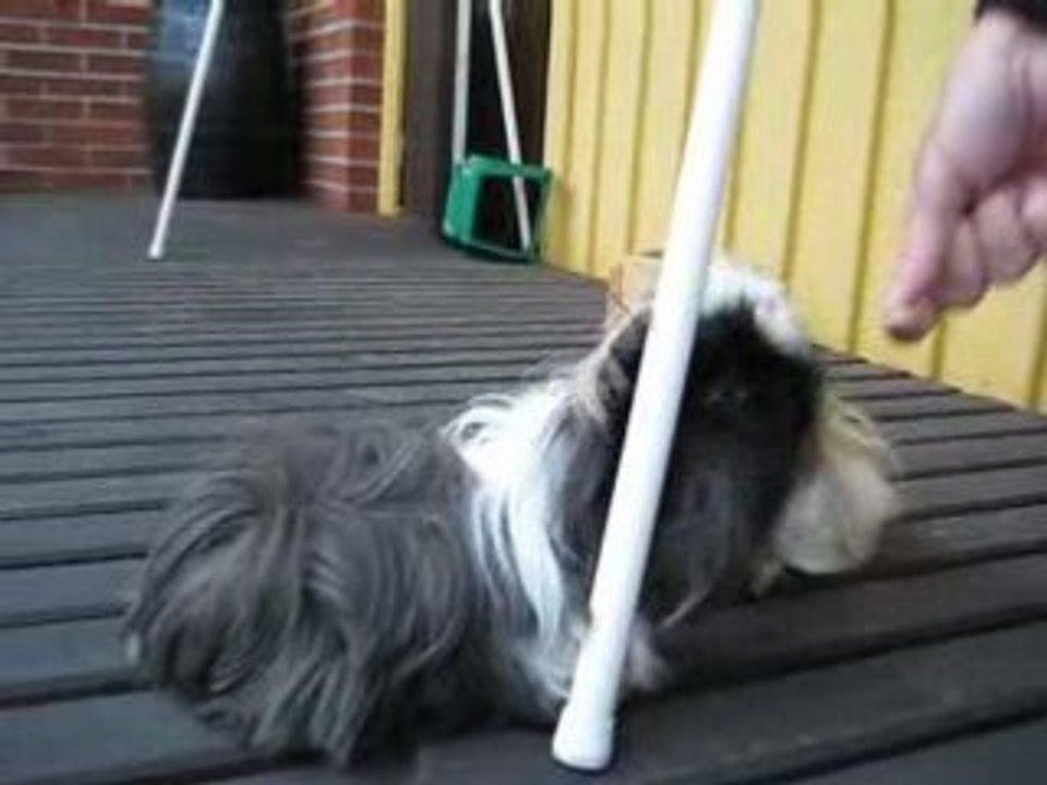 Bild 040