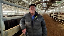 Naracoorte store sale - August 2026