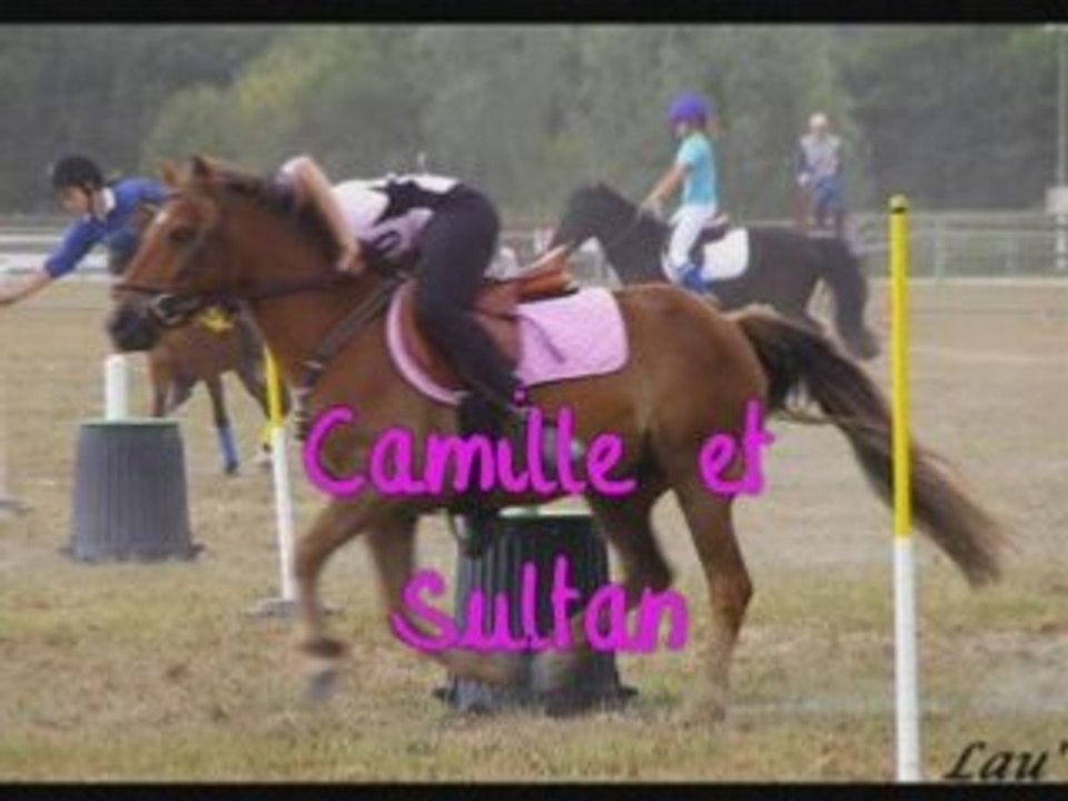 Montage