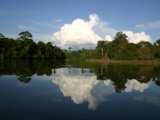 Amazzonia