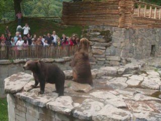 VACANCE EN BELGIQUE 5