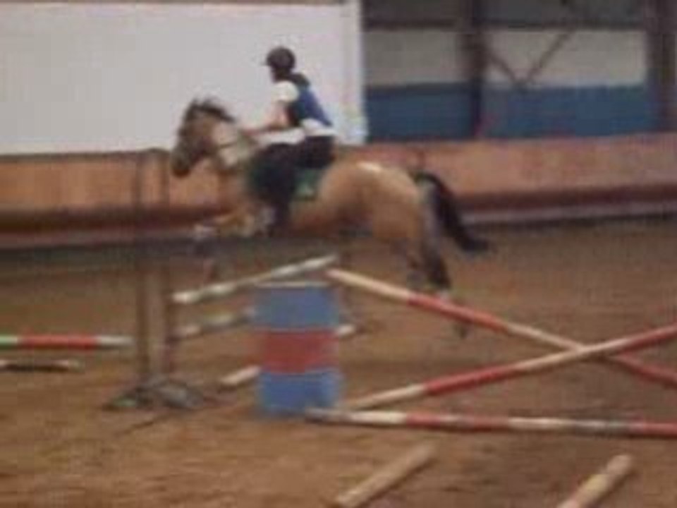 Moi sur Quasimir ( le 2eme cheval ) et Liesel sur Max