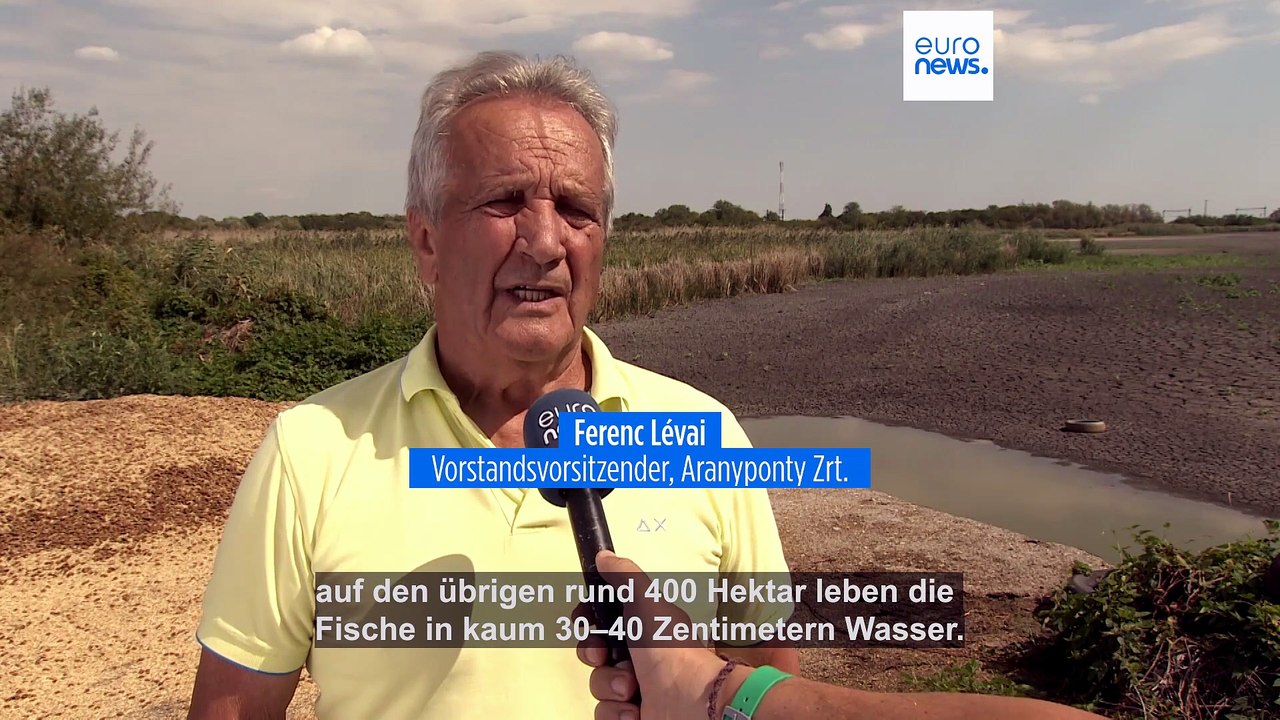 Kampf um Wasser in Ungarn: ausgetrocknete Seen, massives Fischsterben