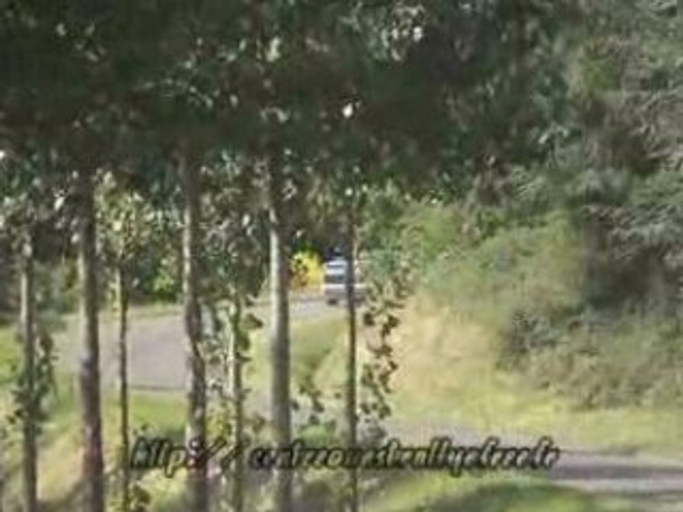 alfa 75 rallye