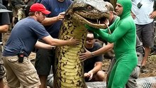 Anaconda 4