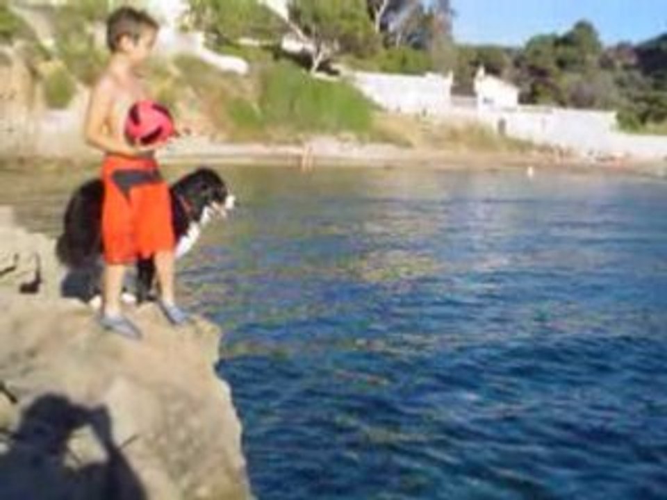 Bella plonge des rochers