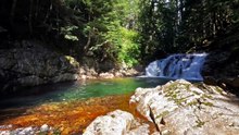 Source de Sérénité _ Musique Zen & Sons de l'Eau pour une Détente Totale