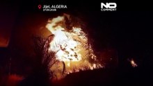 Argélia: incêndios mortais devastam nordeste, governo declara luto nacional