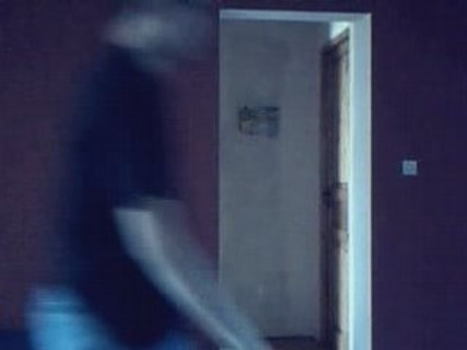 La marche du pingouin