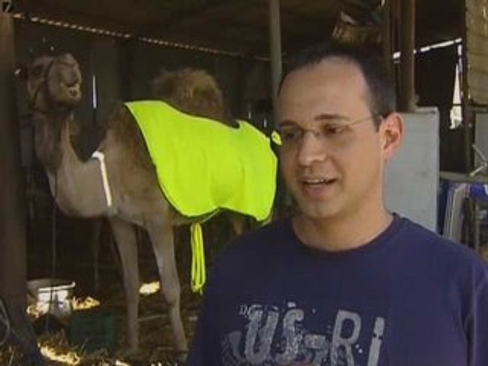 Camels Wear Vests